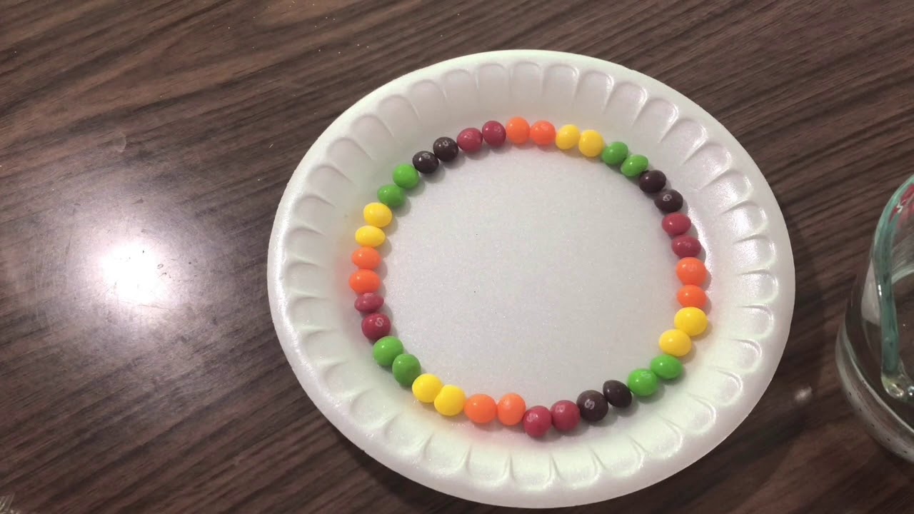Rainbow Skittles Diffusion Experiment YouTube Rainbow Skittles Diffusion Experiment YouTube