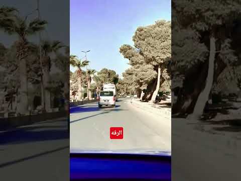 ديري ياولي ديري ذتن العفن بل بيري