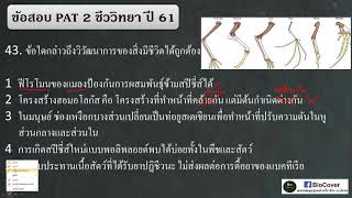 ชีววิทยา เฉลยข้อสอบPAT2 ปี 61 ข้อ 42-43 : Na-K pump และ การเกิด Polyploidy
