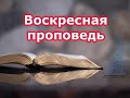 29.10.2023г. Проповедует пропст Виктор Вебер