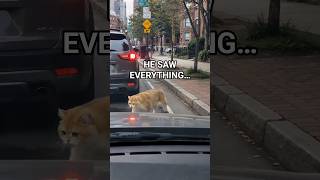Just driving through Boston when I witnessed an entire relationship end in 15 seconds 😭