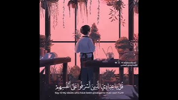 القرآن الكريم بصوت الشيخ مشاري العفاسي /حالات واتس اب