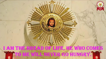 THIRD SUNDAY OF ADVENT  - YEAR - C  - 12-12-2021 SATURDAY - 5.45 AM.