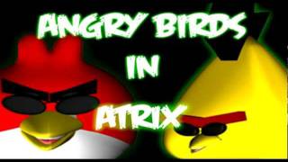 Angry Birds In The Matrix