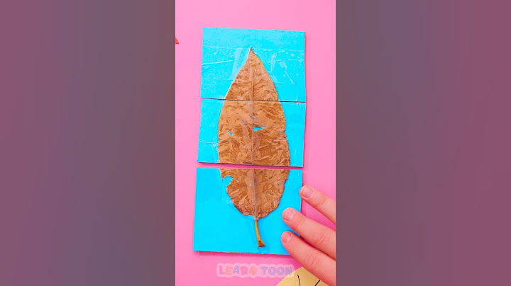 Can you solve the Leaf 🍁 Puzzle?🧩 #puzzle #kidsvideo