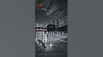 تلاوة من سورة آل عمران 🤍 | اسامه مجدي 💙