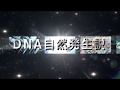 DNA自然発生説
