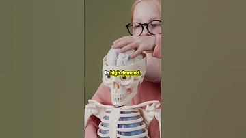 Unlock the Future: Essential Skills for the AI Age!