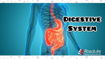 Digestive System and More CPT Medical Coding for the CPC and CCS Exams - Re-released