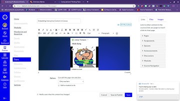 Embedding Interactive Media in Canvas