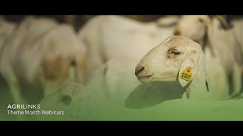 Livestock and Climate Smart Agriculture Innovations