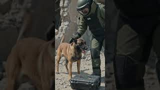 《生死搜救:廢墟逆行者》Mission Zero Hour #ai #military #dog