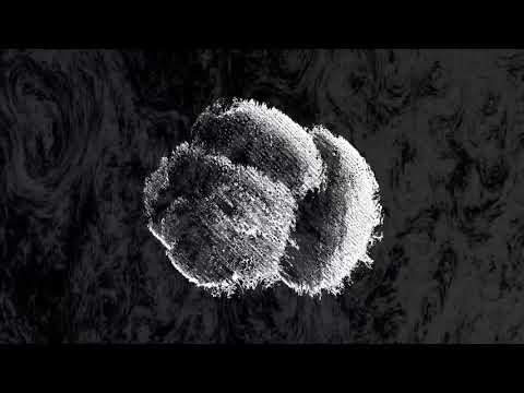 Mind Machines - 8755B