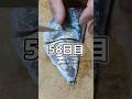釣った魚だけで生活58日目 #shorts #魚 #釣り #魚釣り #料理 #魚料理