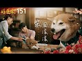好運來 EP151 柴圓滾滾 Everybody Needs Good Luck 好運來 EP151 柴圓滾滾 Everybody Needs Good Luck