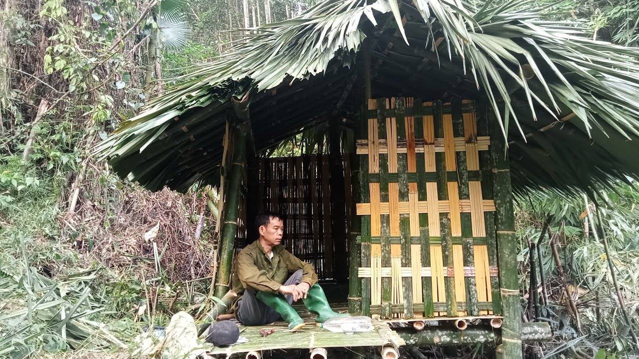 Three days to build a bamboo house and survive alone in the deep forest ...