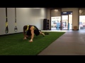 Envision fitness bear crawl