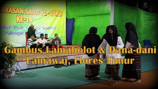 Gambus Lamaholot dan Dana-dani Lamawai Solor Timur, dalam kegiatan Milad YAYASAN SAUD AL-IDRIS KE-14