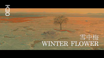 [ FMV ] WINTER FLOWER(雪中梅) (Feat. RM) - 윤하 (YOUNHA)