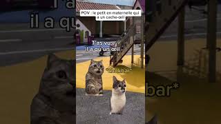 POV : Le petit en maternelle qui a un cache œil😔🙀💀 #humour #chat #faitespercersvp #pov