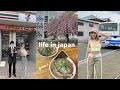 LIVING IN JAPAN 🍜 uni in tokyo, yummy japanese food, exploring with siblings!