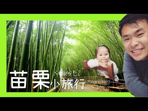 【苗栗】台版京都嵐山竹林秘境衝一波｜神仙谷、雲洞山莊、泰安竹林秘境、卓也小屋、山那邊綠葉方舟、小恬田十三間手作農坊｜Roger Vlog Vol. 105 feat. 小老闆 & CT