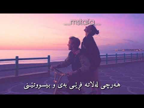 Navid Zardi &