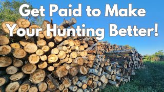 5 Reasons Every Deer Hunter Should Consider Logging Their Property