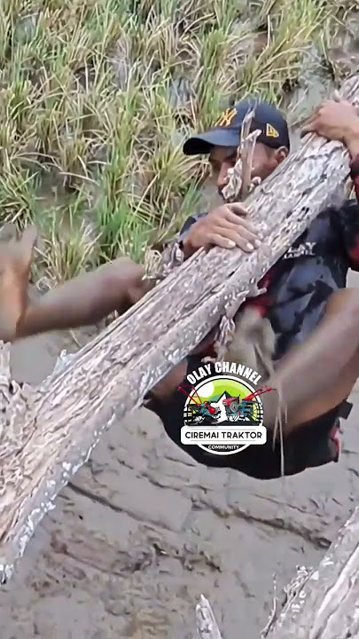 Ini teh kang Robby ??? // Traktor sawah 0699