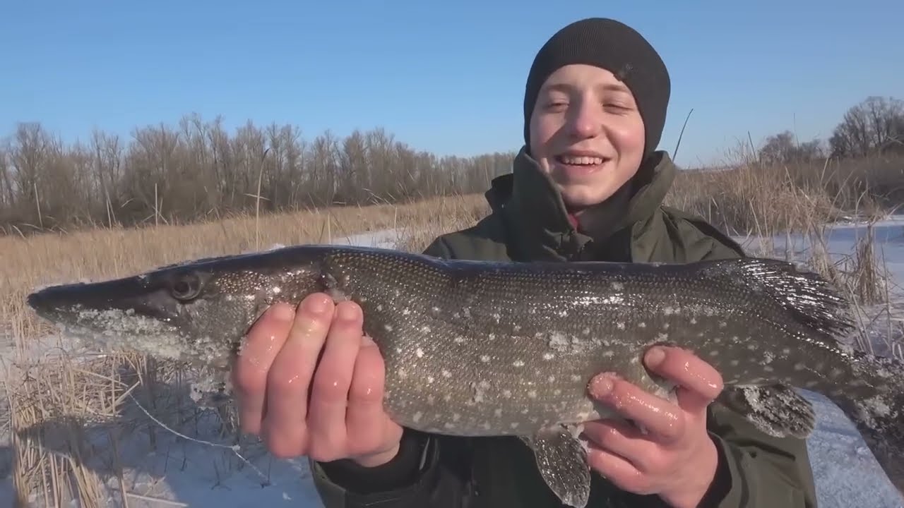 ДИМОН, там ВЫСТРЕЛ в КАМЫШЕ!!! ЖЕРЛИЦЫ РАБОТАЮТ на МЕЛКОТЕ!!! РЫБАЛКА СРЕДИ БОЛОТ