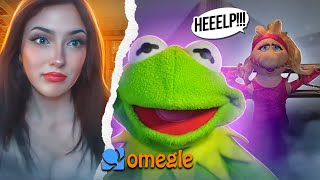 Kermit shows off Miss Piggy on Omegle