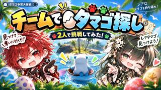 【アニモ】レベル５０になると遊べるイベント『タマゴ争奪大作戦』を2人で遊んでみた！【攻略】