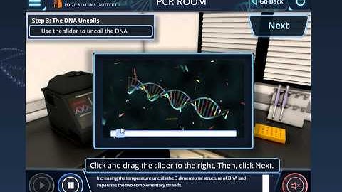 Auburn University - PCR Standard Simulation