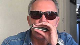 A Paul Lamb lesson on playing Sonny Terry Talkin harmonica Blues