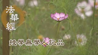 【靜思妙蓮華】法華經授學無學人記品 - 授記學無學人 - 20220527 第1163集