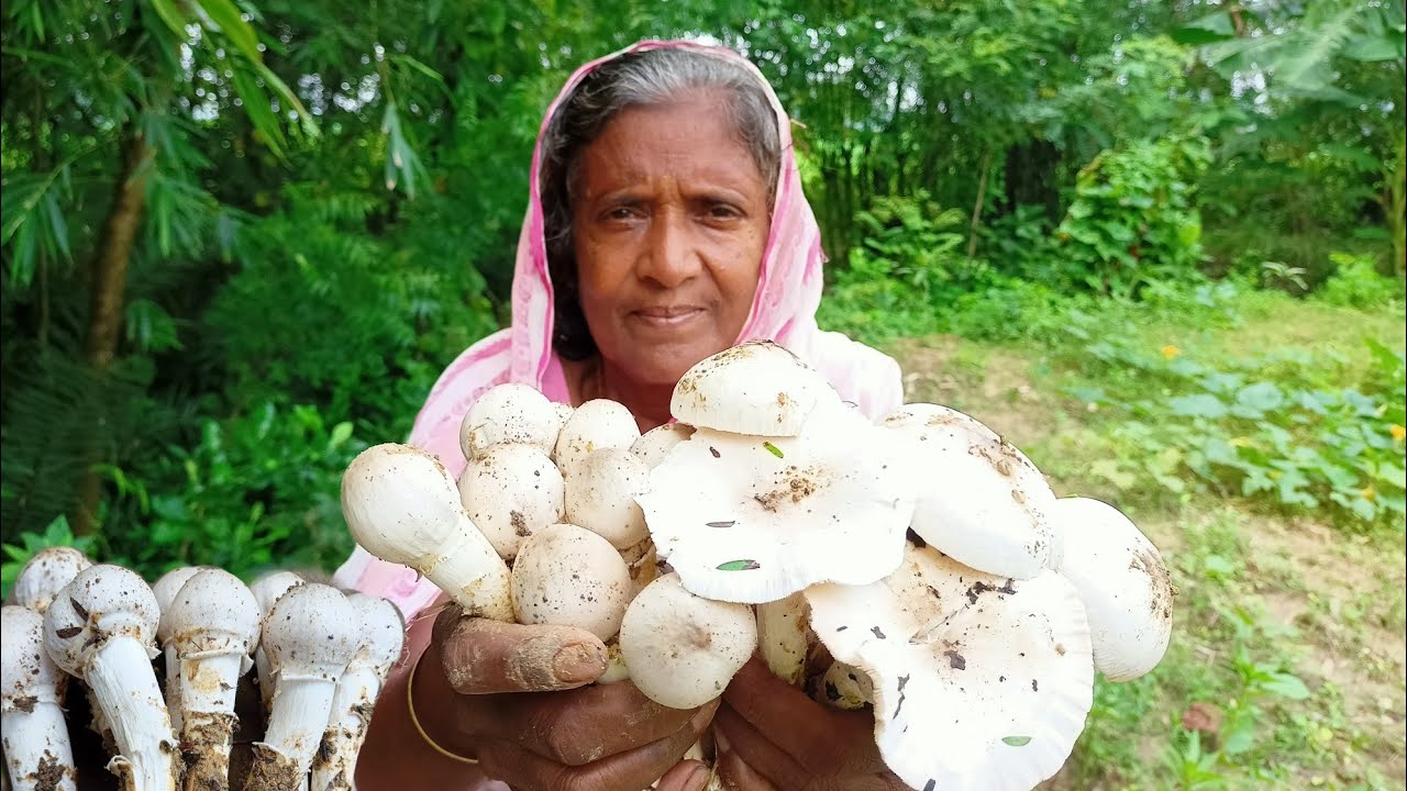 মাশরুম রান্নার রেসিপি | DURGA CHATU RECIPE | Bengali Style Masroom Recipe By Grandmother