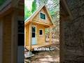 Would You Live in a Log Cabin?#shorts