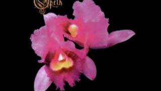 In The Frost OF Winter - Opeth -  Orchid