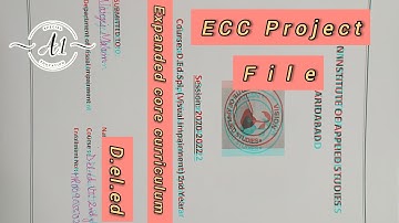 Expanded Core Curriculum (ECC) Lesson plan for Visually impaired