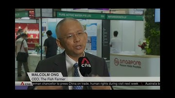 How to improve fish farming? CNA interview with The Fish Farmer CEO Mr Malcolm Ong