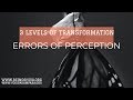 3 Levels of Transformation | Subtle Progressions | Errors of Perception