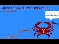 Crustaceans Size Comparison (LAST DAY OF FEBRUARY AND STARTING ON MARCH!)