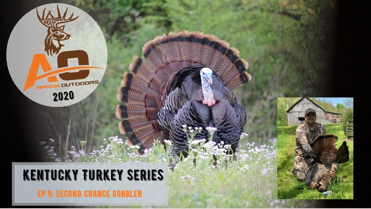 Kentucky Spring Turkey Hunting Second Chance GOBBLER YouTube