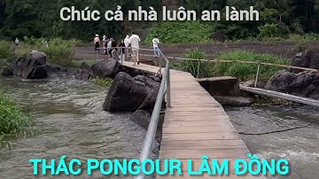 Top Thác Nước Đẹp Đà Lạt Lâm Đồng, Thác Pongour một trong những thác đẹp nhất vùng Nam Tây Nguyên