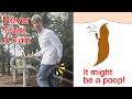 Never trust a fart - It might be a poop -