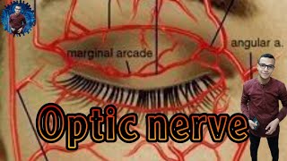 Optic nerve. العصب البصري من أهم أعصاب الوجه . تعرف أيه عنه