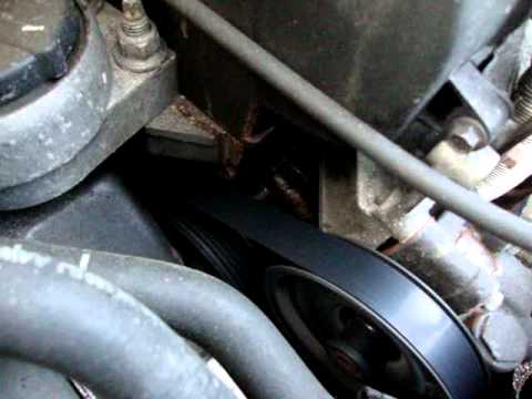 Ford escort water pump noise #8