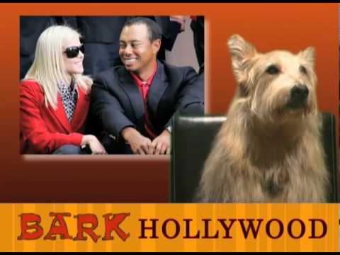 BULLOCK, CLOONEY, TIMBERLAKE, DWTS & PET PSYCHICS