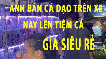 PHÁT HIỆN TIỆM CÁ CẢNH GIÁ SIÊU RẺ || AQUARIUM FISH SHOP