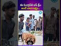 ఈ సుల్తాన్ కి ఐస్ క్రీం అంటే చాలా ఇష్టం| iDream Media